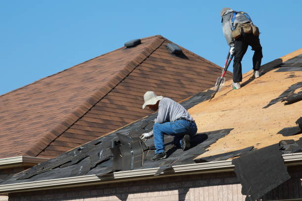 Best Roof Maintenance and Cleaning  in Greenville, VA