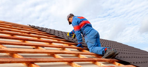 Best Skylight Installation and Repair  in Greenville, VA